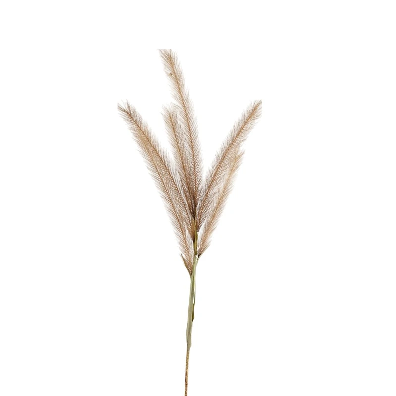 Weva 11x124 Cm Coffee Reed Artifical Stems&Branches "Reed"