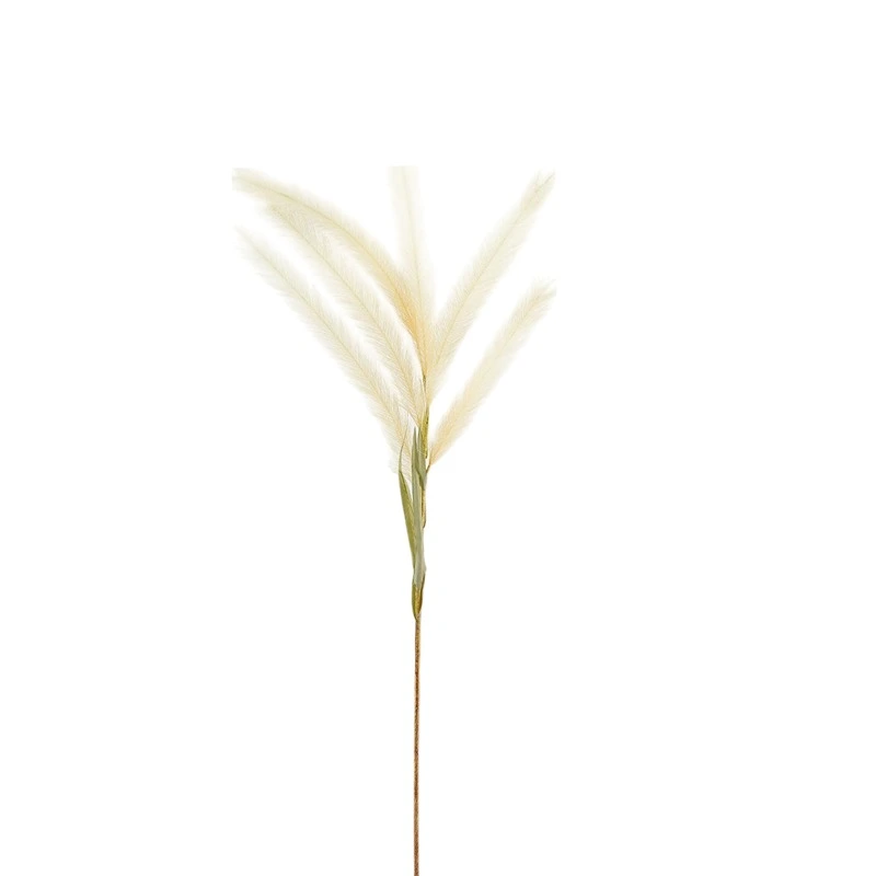 Weva 11x124 Cm Cream Reed Artifical Stems&Branches "Reed"