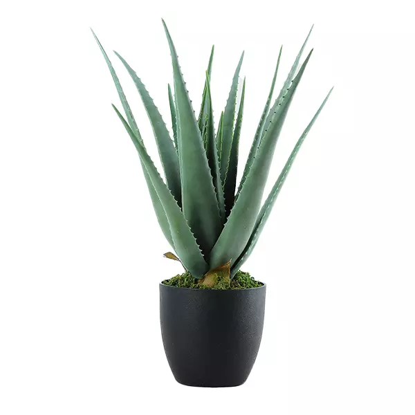 Nova Home "Aloe" Artificial Tree - 69 Cm - Green
