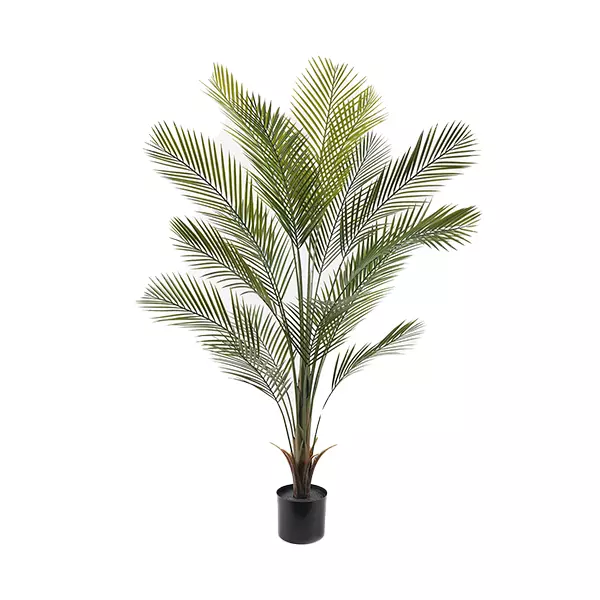 Nova Home "Kwai Single" Artificial Tree - 150 Cm - Green