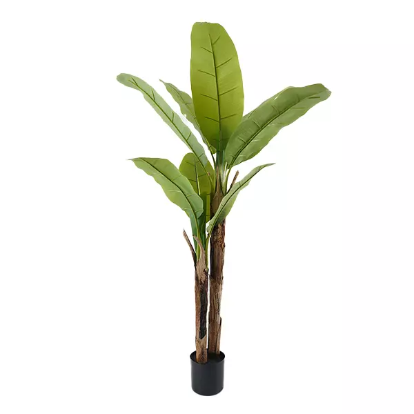 Nova Home "Banana" Artificial Tree - 160 Cm - Green