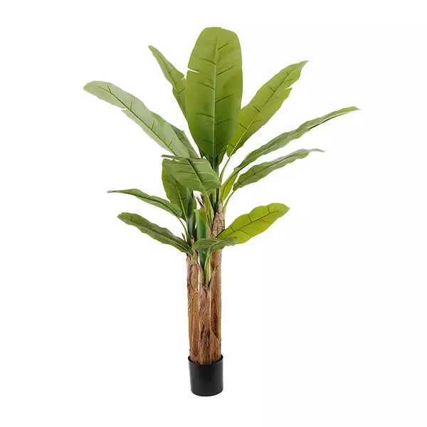 Nova Home "Banana" Artificial Tree - 190 Cm - Green