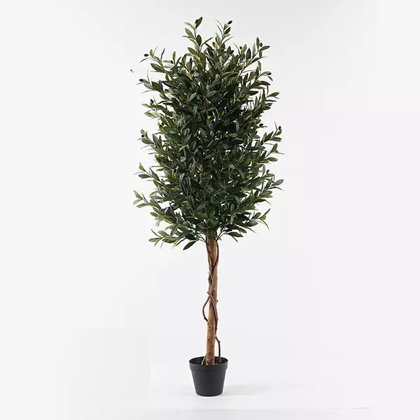 Nova Home "Olive" Artificial Tree - 150 Cm - Green