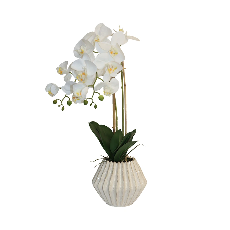 Nova Home "Lunaria" Flower Phalaenopsis Arrangement with Pot – 60 cm – White