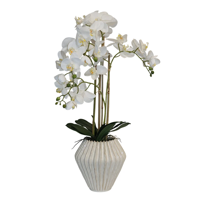 Nova Home "Lunaria" Flower Phalaenopsis Arrangement with Pot – 74 cm – White
