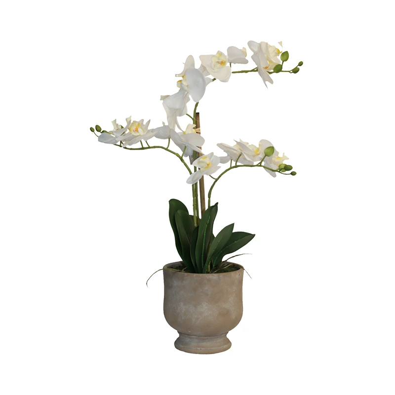 Nova Home "Ivoria" Flower Phalaenopsis Arrangement with Pot – 60 cm – White