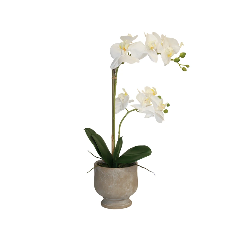 Nova Home "Ivoria" Flower Phalaenopsis Arrangement with Pot – 55 cm – White
