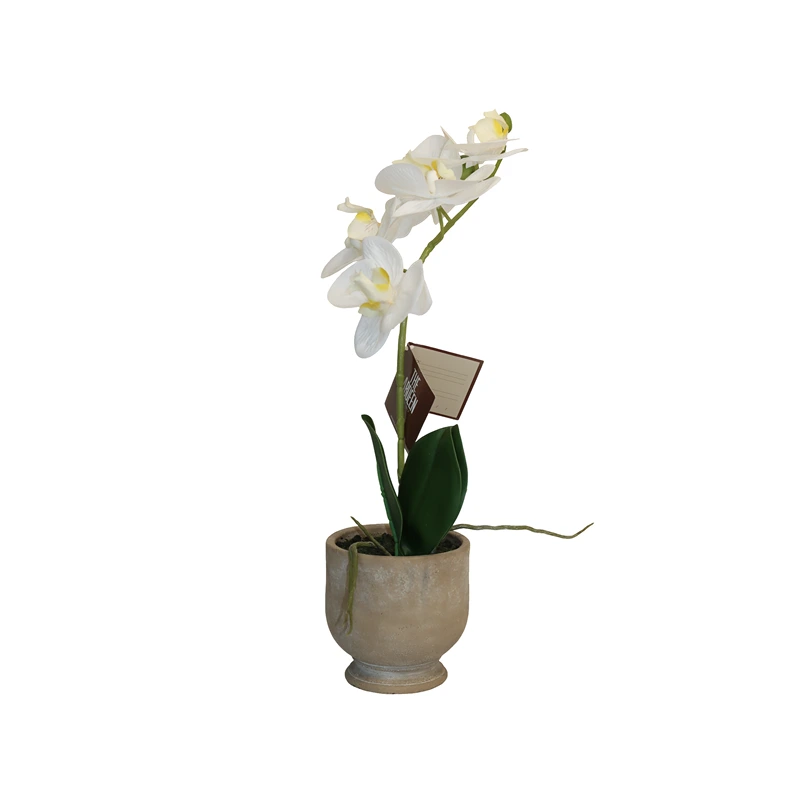 Nova Home "Ivoria" Flower Phalaenopsis Arrangement with Pot – 39 cm – White