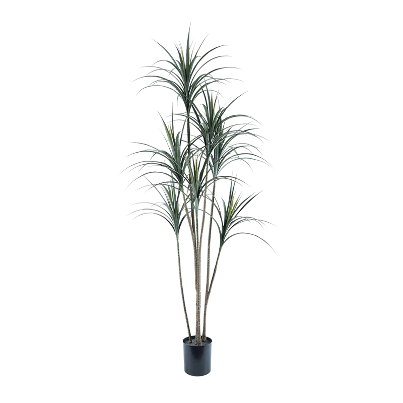 Nova Home Artificial Dragon Tree with Pot – 190 Cm – Green