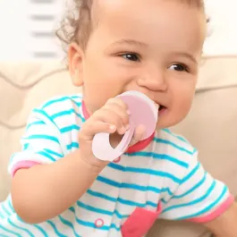 Babyjem Fruit & Vegetable Suck - Pink product thumbnail 2