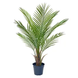 Nova Home "Kwai Single" Artificial Tree - 88 Cm - Green product thumbnail 2