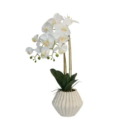 Nova Home "Lunaria" Flower Phalaenopsis Arrangement with Pot – 60 cm – White product thumbnail 2