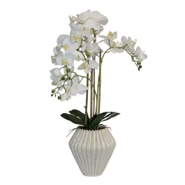 Nova Home "Lunaria" Flower Phalaenopsis Arrangement with Pot – 74 cm – White product thumbnail 2