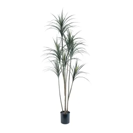 Nova Home Artificial Dragon Tree with Pot – 190 Cm – Green product thumbnail 2