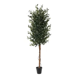 Nova Home Artificial Olive Tree with Pot – 180 Cm – Green product thumbnail 2