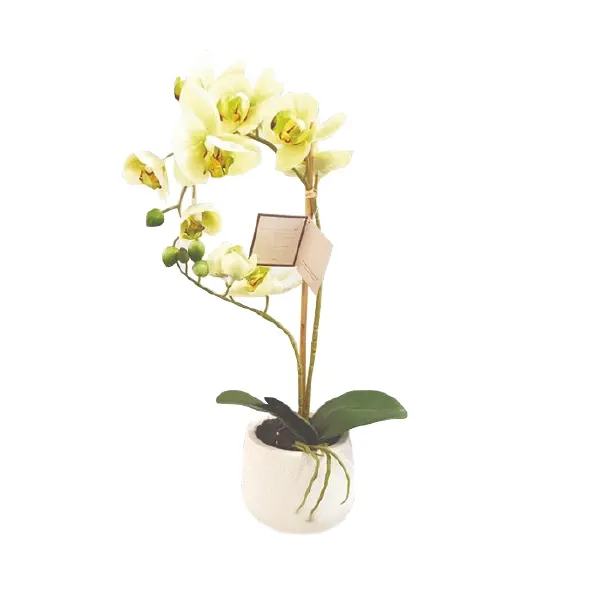 Nova Home Artificial Flower Arrangement 48 cm - Green product thumbnail 3