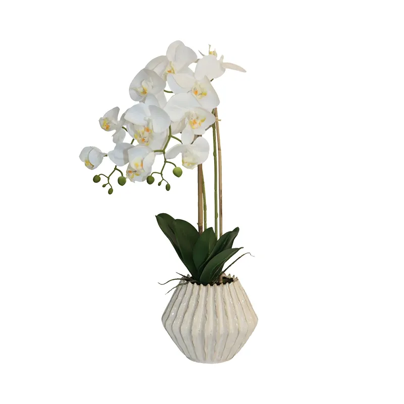 Nova Home "Lunaria" Flower Phalaenopsis Arrangement with Pot – 60 cm – White product thumbnail 3