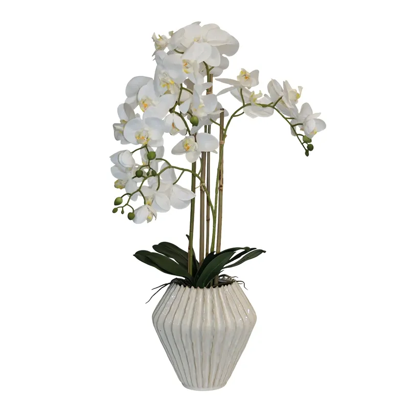 Nova Home "Lunaria" Flower Phalaenopsis Arrangement with Pot – 74 cm – White product thumbnail 3