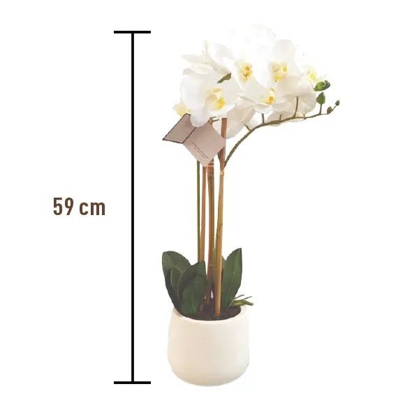 Nova Home "Phalaenopsis" Flower Arrangement - 59 cm - White product thumbnail 2