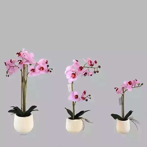 Nova Home Artificial Flower Arrangement 59 cm - Pink product thumbnail 2