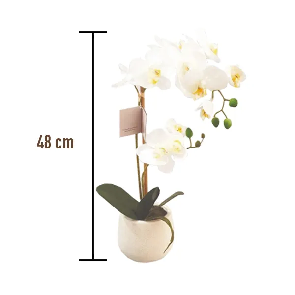 Nova Home "Phalaenopsis" Flower Arrangement - 48 cm - White product thumbnail 2