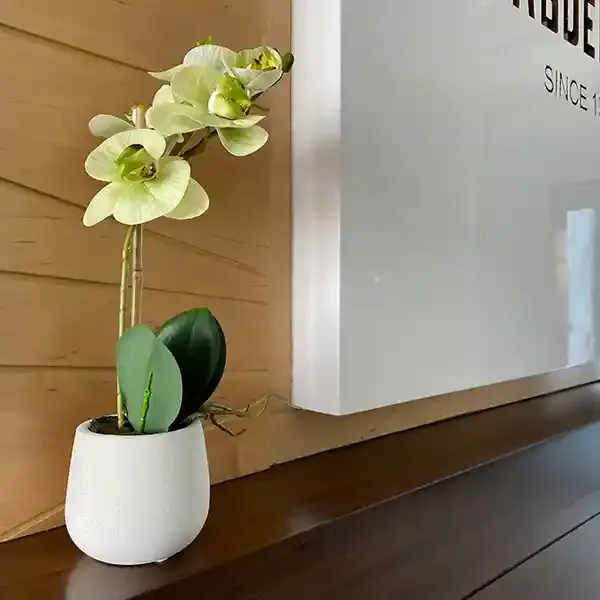 Nova Home Artificial Flower Arrangement 38 cm - Green product thumbnail 3