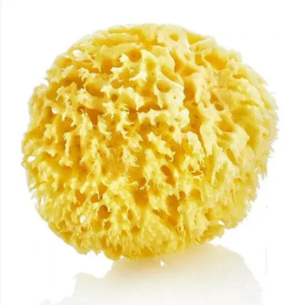 Babyjem Natural Sea Sponge - Yellow product thumbnail 6