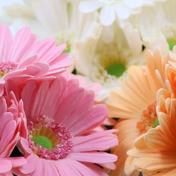 Nova Home "Gerbera" Artificial Flower Arrangement - 20 cm - Orange product thumbnail 3