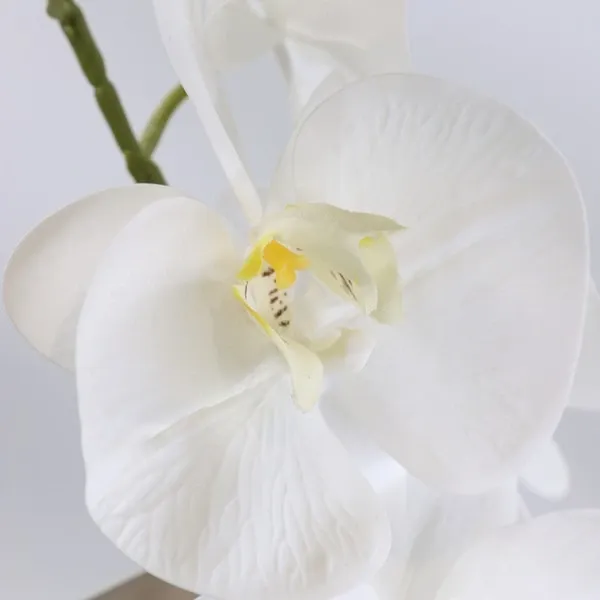 Nova Home "Graceful" Flower Arrangement with Pot- 59 cm - White product thumbnail 2