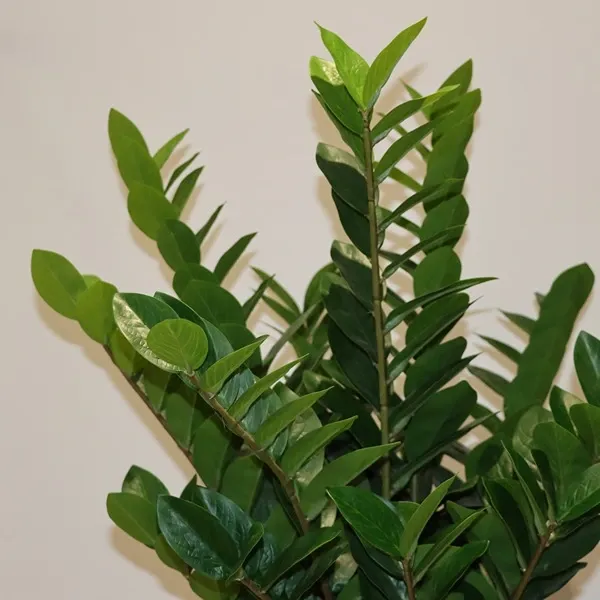 Nova Home "Bliss" Artificial Flower Arrangement - 100 cm - Green product thumbnail 2