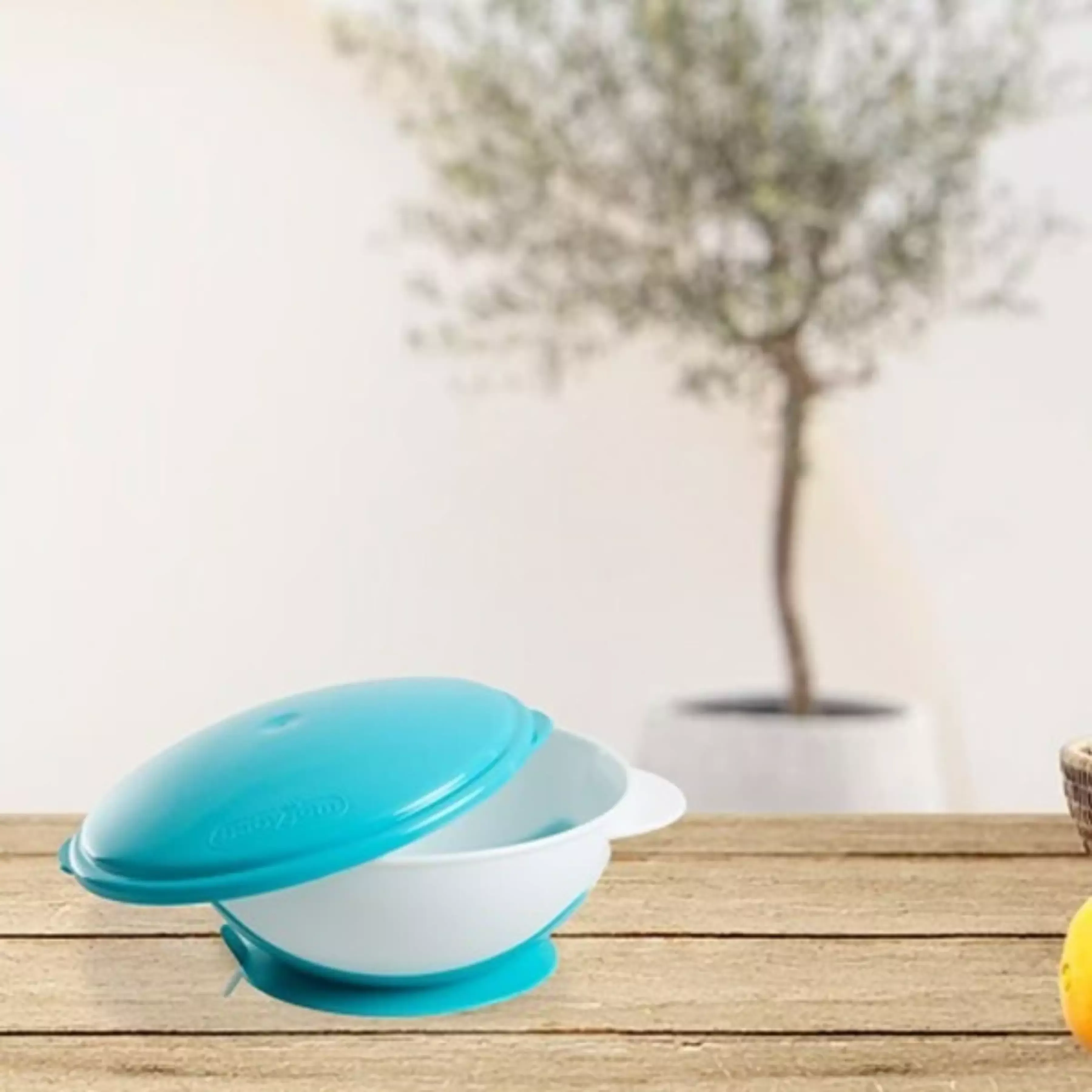 BabyJem Vacuum Plate - Blue product thumbnail 12