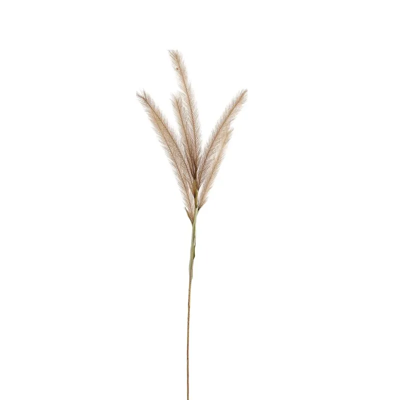 Weva 11x124 Cm Coffee Reed Artifical Stems&Branches "Reed" product thumbnail 2