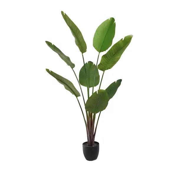 Nova Home "Strelitzia" Artificial Tree - 159 Cm - Green product thumbnail 4