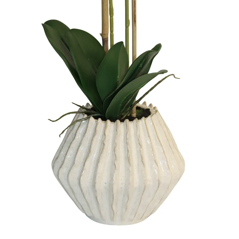Nova Home "Lunaria" Flower Phalaenopsis Arrangement with Pot – 60 cm – White product thumbnail 2