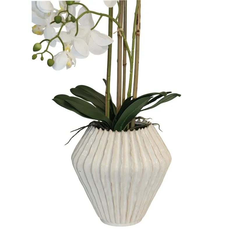 Nova Home "Lunaria" Flower Phalaenopsis Arrangement with Pot – 74 cm – White product thumbnail 2