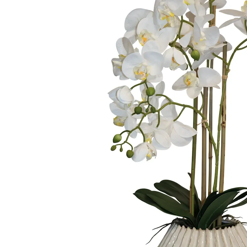 Nova Home "Lunaria" Flower Phalaenopsis Arrangement with Pot – 74 cm – White product thumbnail 3