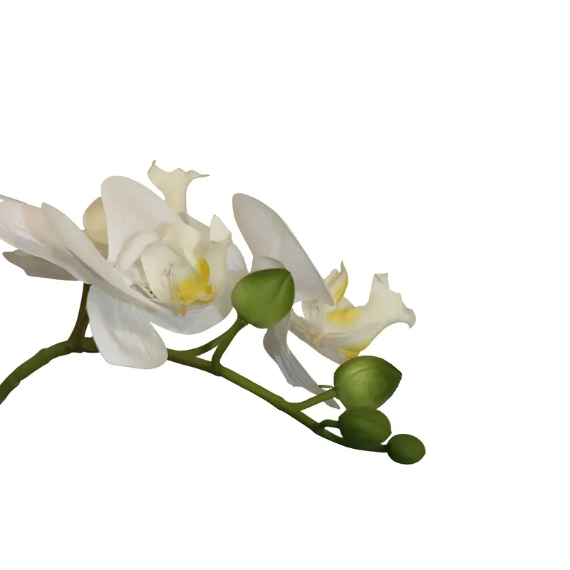 Nova Home "Ivoria" Flower Phalaenopsis Arrangement with Pot – 60 cm – White product thumbnail 3