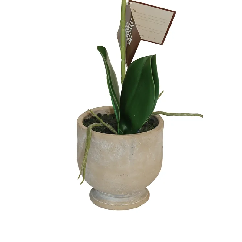 Nova Home "Ivoria" Flower Phalaenopsis Arrangement with Pot – 39 cm – White product thumbnail 2