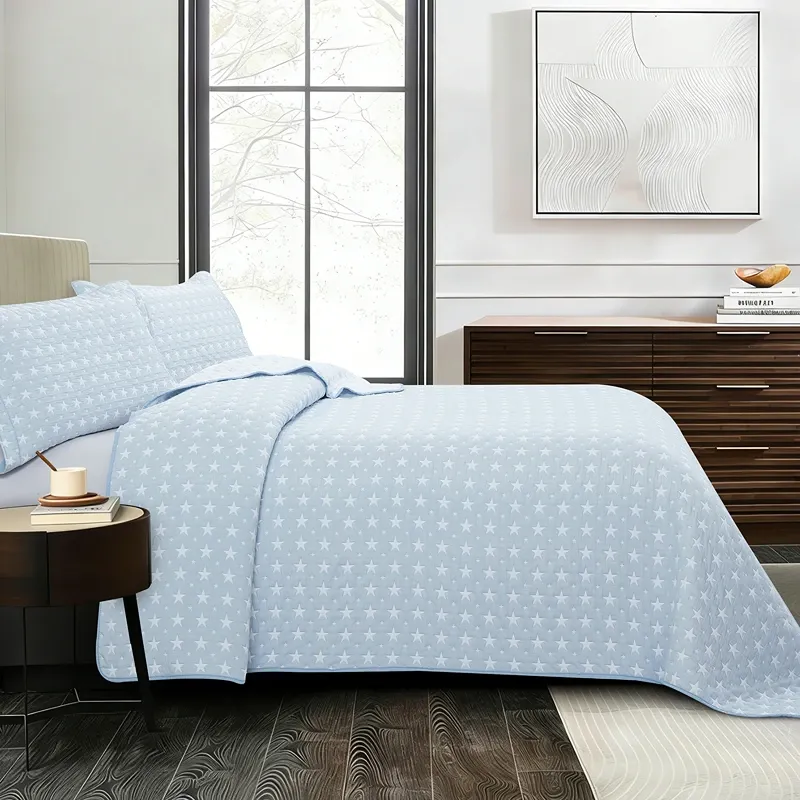 Nova Home Sitry Poly Cotton Jaquard Reversible Bed Spread Set - 2Pcs - Single & Twin - Blue product thumbnail 4