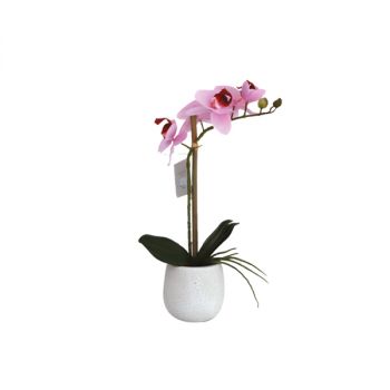 نوفا هوم "Phalaenopsis" مزهرية زهور - 38 سم - زهري