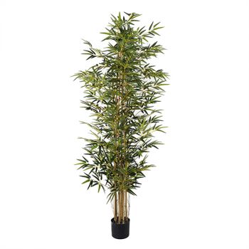 نوفا هوم "Bamboo " نبتة صناعية - 150 سم - أخضر